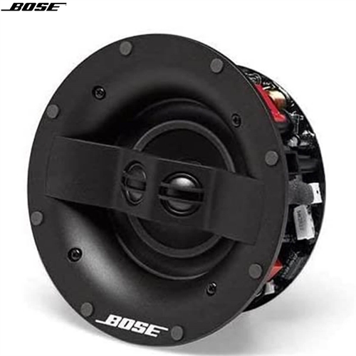 Loa Bose Virtually Invisible 591